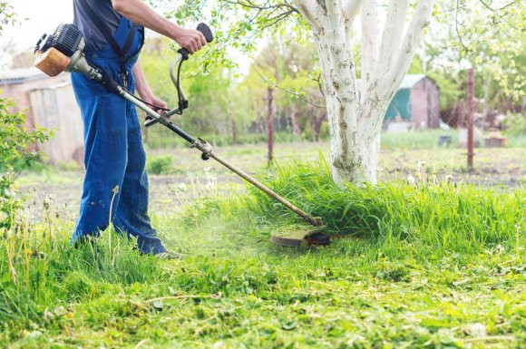 Entreprise professionnelle pour le débroussaillage de terrain en pente à Descartes