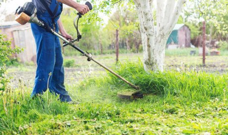 Entreprise professionnelle pour le débroussaillage de terrain en pente à Descartes