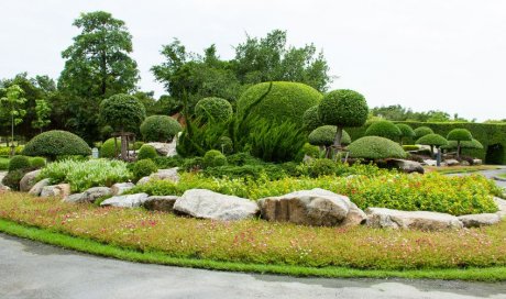 Professionnel pour la création de massifs paysagers dans un jardin à Descartes